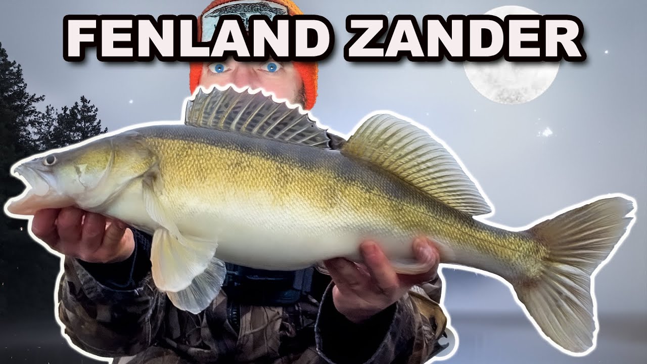 Лучшая приманка для судака? Приманка Paddle Tail Shad или Drop Shot Flukes?