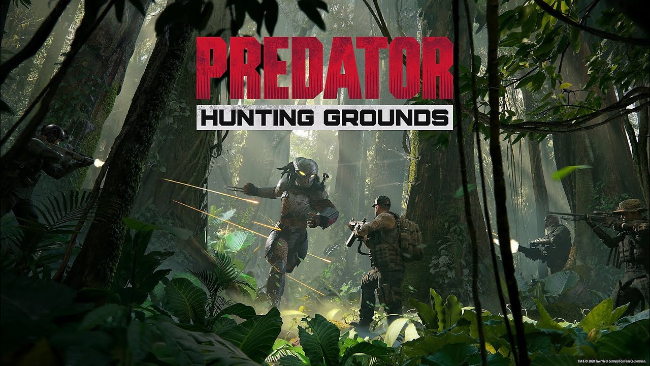 PREDATOR HUNTING GROUNDS | COOP FIRETEAM | PC WIDESCREEN LIVESTREAM