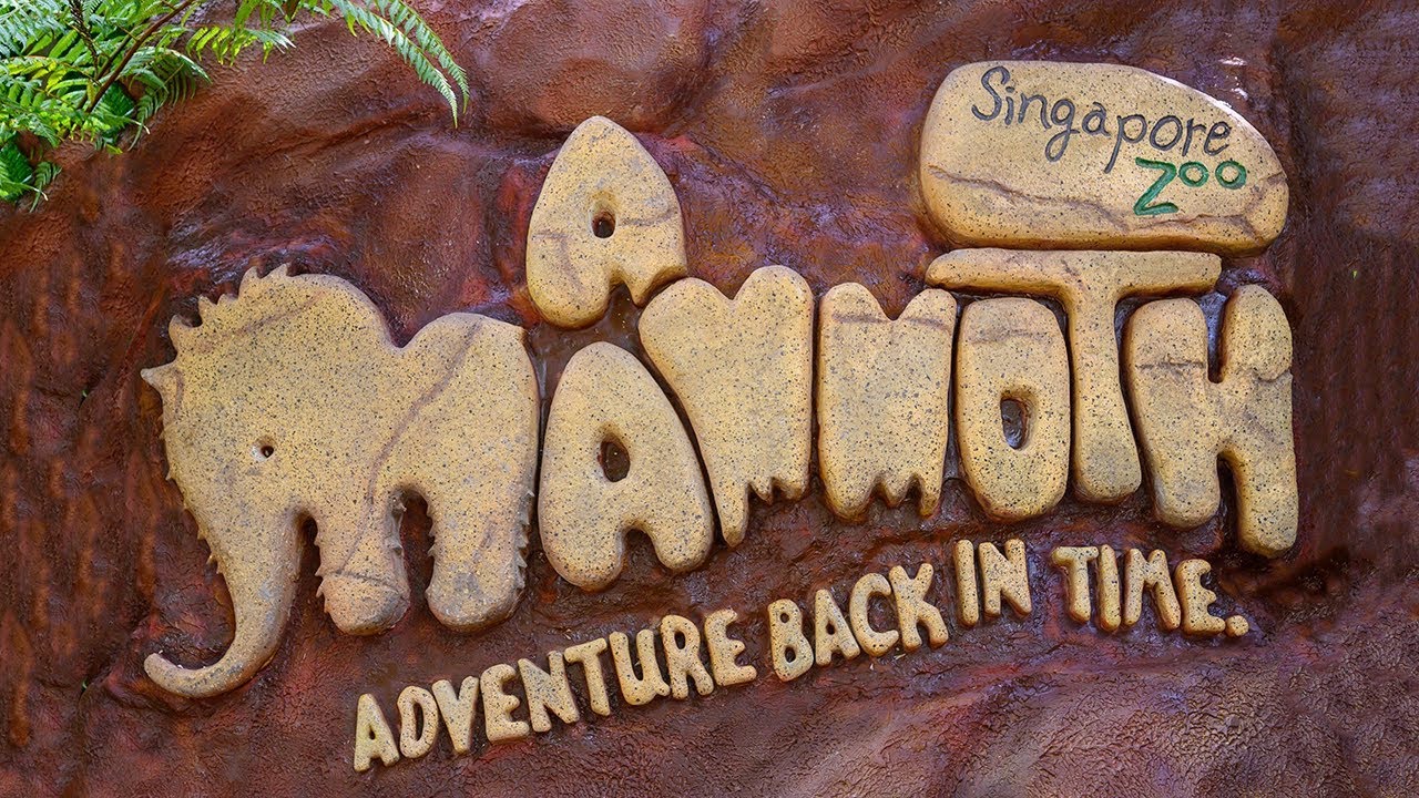 Singapore Zoo ~ A Mammoth Adventure Back in Time