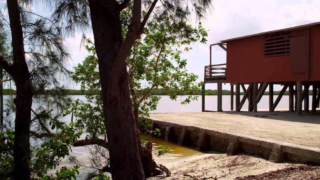Saltwater Experience: 