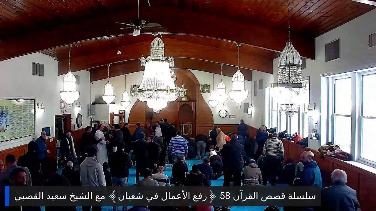 سلسلة قصص القرآن 58 ﴿رفع الأعمال في شعبان﴾ مع الشيخ سعيد القصبي