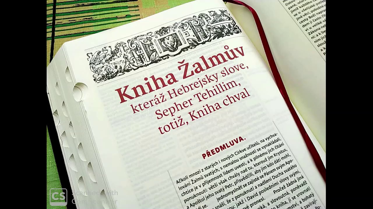 Žalm 31 | Bible svat&aacute; | V překladu kralick&eacute;m v roce 1613 Jednotou Bratrskou poř&iacute;zen&eacute;m | Poetick&eacute;