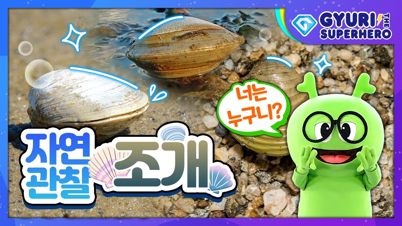 자연관찰 조개ㅣExploring Nature Clamㅣ어디에 있지? 조개!ㅣ바다동물ㅣ바다에 사는 동물ㅣ튼튼영어