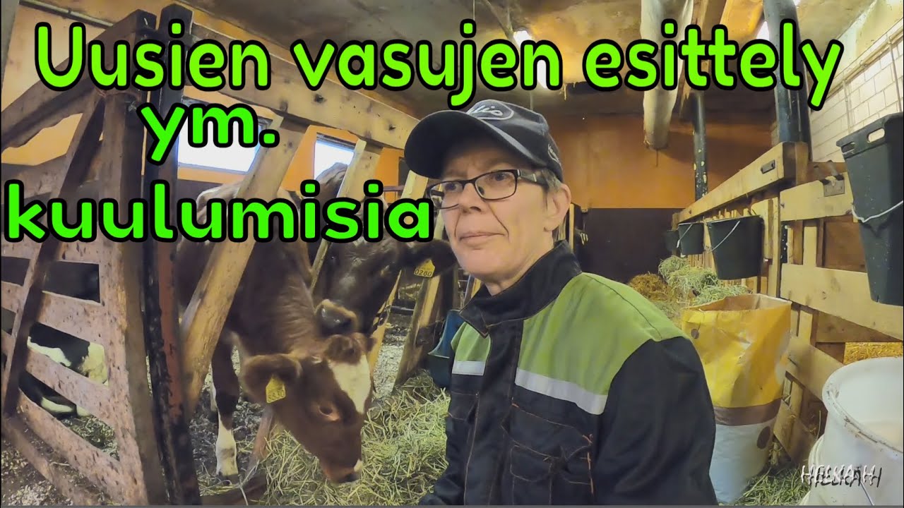 Navetan kuulumisia 28.11.2020