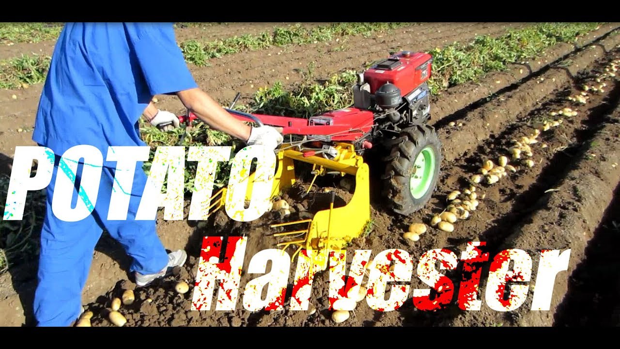 Potato Harvester| Potato Harvesting Machine With Tractor