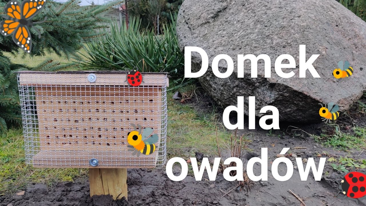 Domek dla owadów