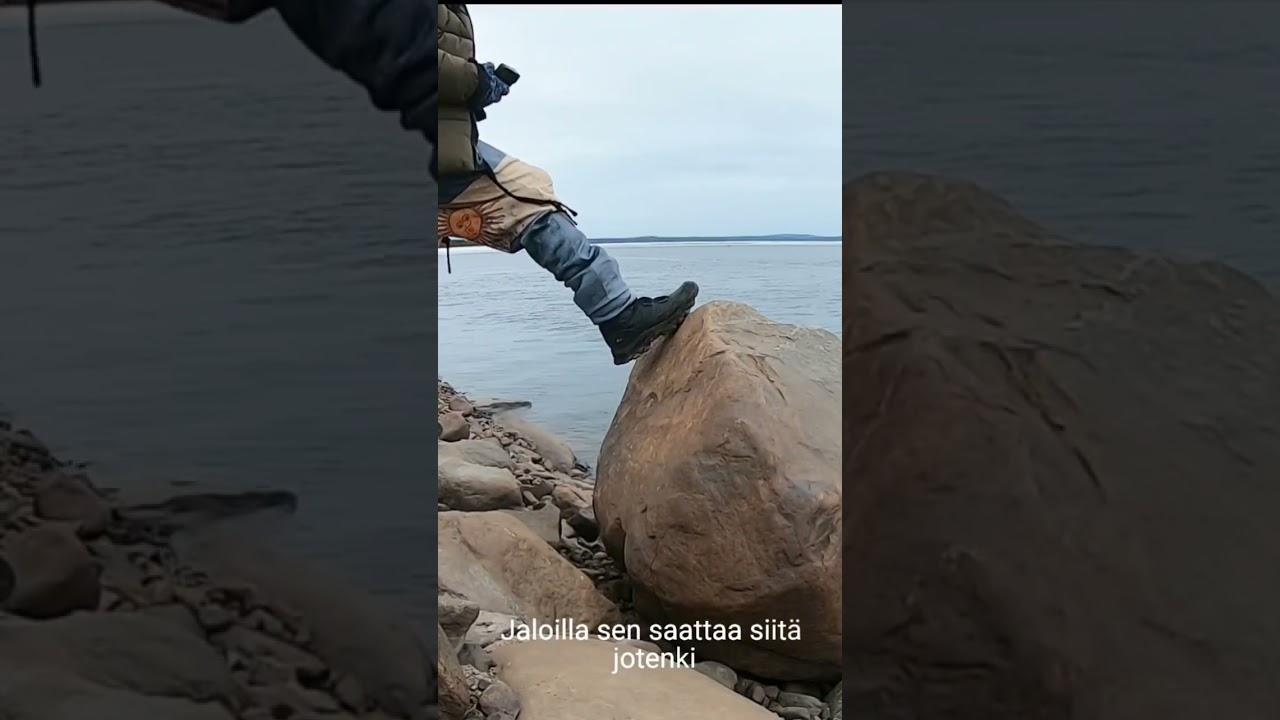Uistimien etsint&auml; l&auml;htee lapasesta