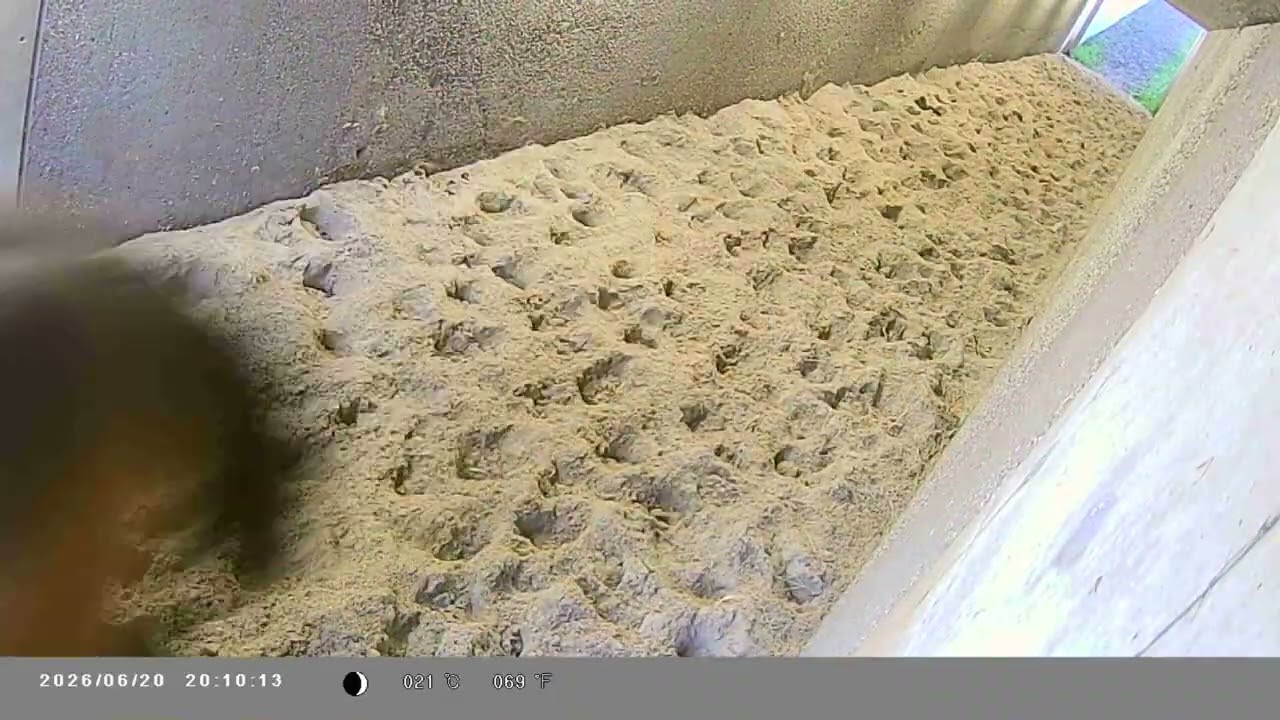 Ecotunnel Kop van schouwen