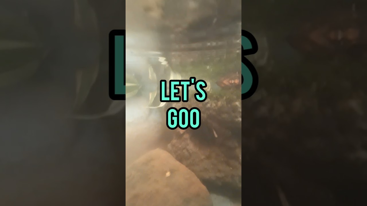 my fish tank Underground                                          