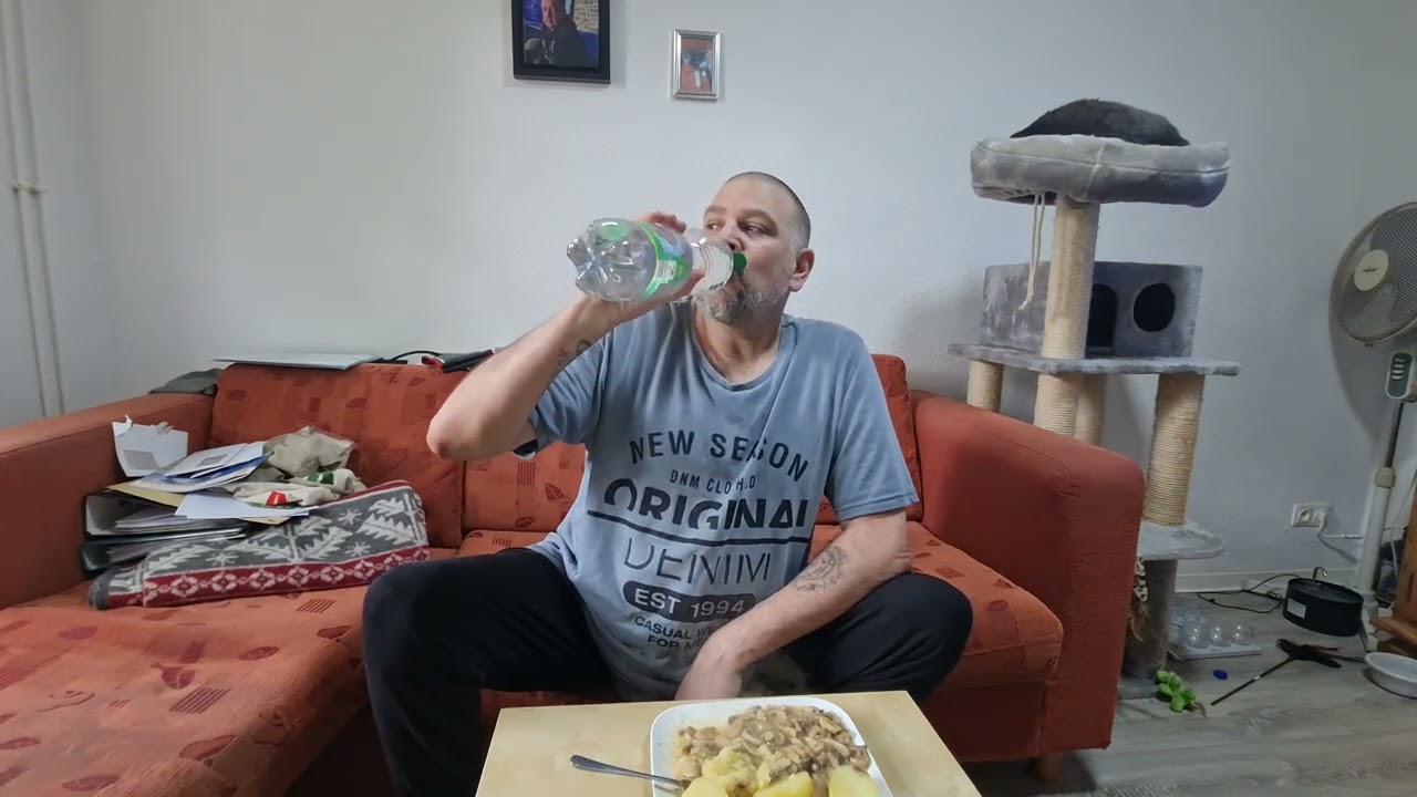 #95 Rahmchampignons mit Kartoffeln und Salat