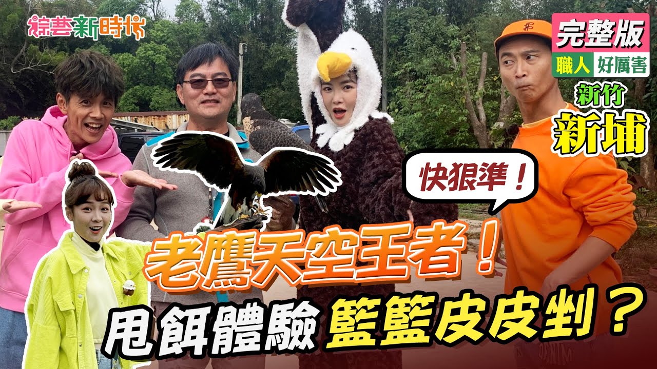 【綜藝新時代】老鷹天空王者！快狠準！甩餌體驗籃籃皮皮剉？2022.01.28