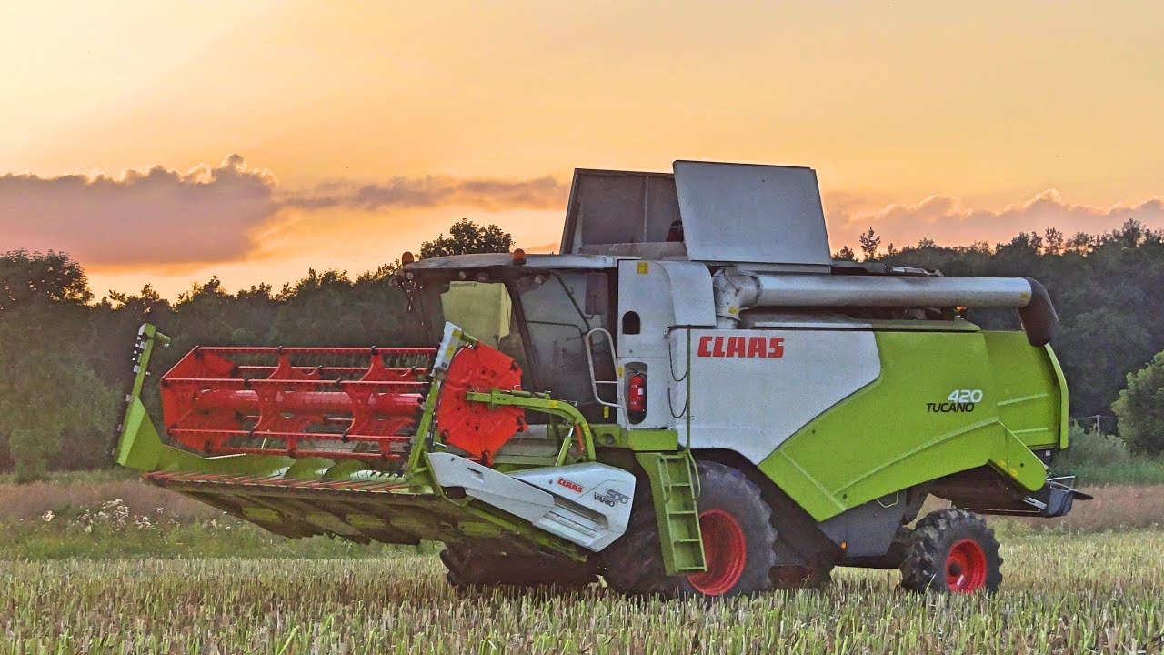 Żniwa Rzepaczane 2017 w Gr Borychowscy || Claas Tucano 420 ||