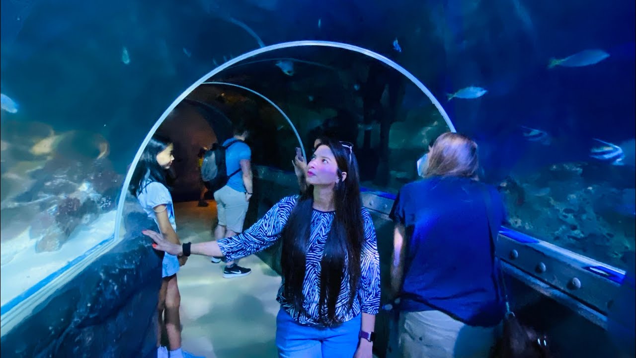SEA LIFE Constance Germany 🇩🇪Full tour | Big Aquarium | Different kind of Fishes
