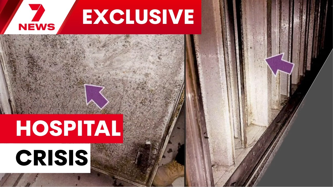 NSW Premier Chris Minns promises transparency about deadly mould in NSW hospitals | 7NEWS