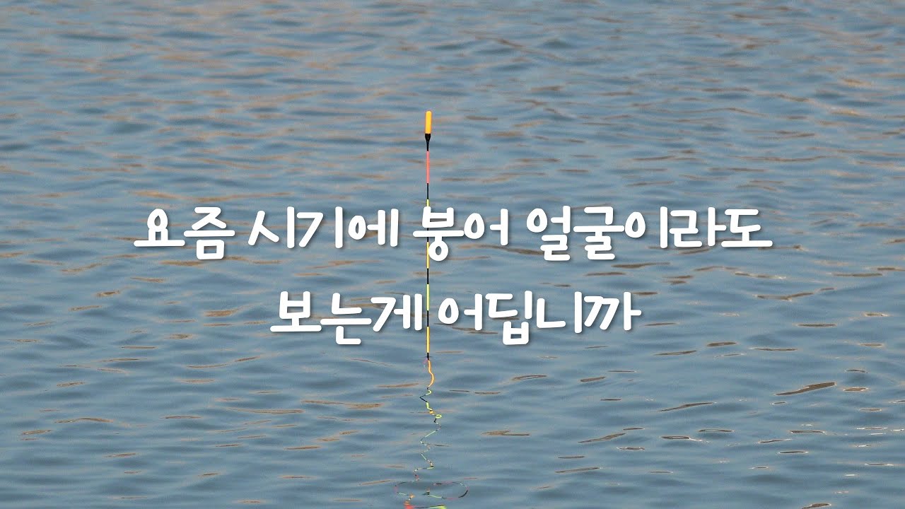 요즘 시기에 붕어 얼굴이라도 보는게 어딥니까-경기 안성 명인낚시터(2026.01.07) #즐낚tv