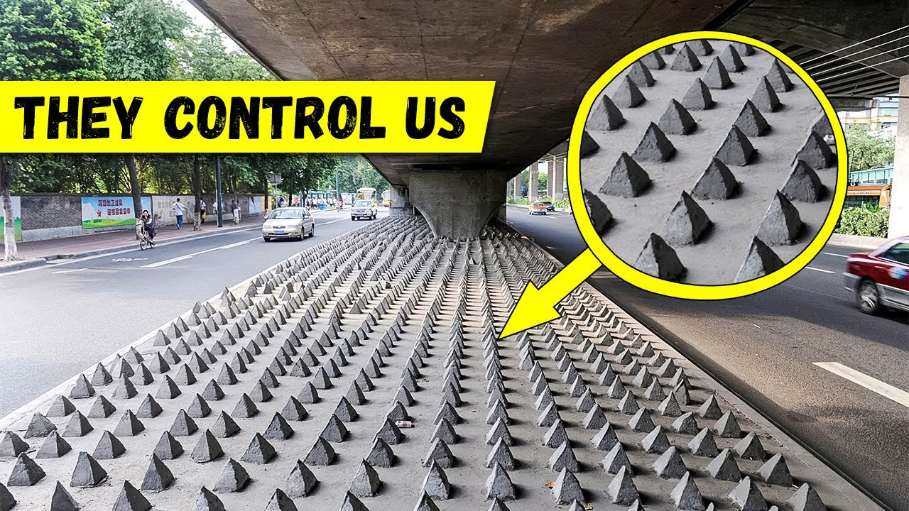 10 Unusual Ways Governments Control People in Different Countries
