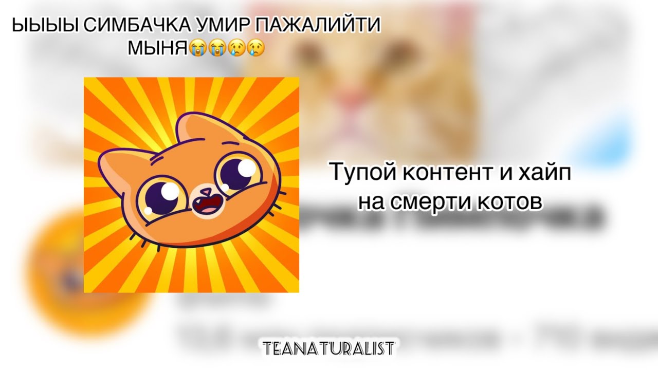 Симбочка Пимпочка - кринжовый контент и хайп на смерти кота / Чайный натуралист☕️
