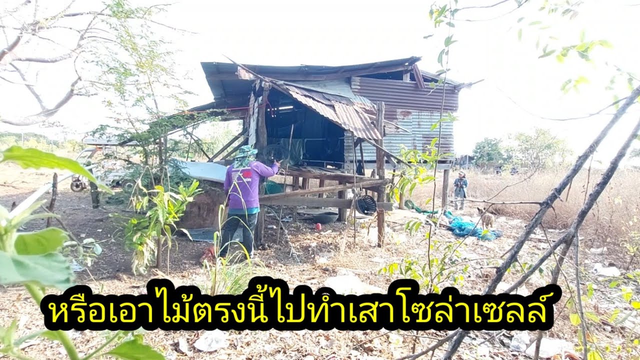รื้อเอาไม้ตรงนี้มาทำเสา ของโซล่าเซลล์#จิตอาสา 