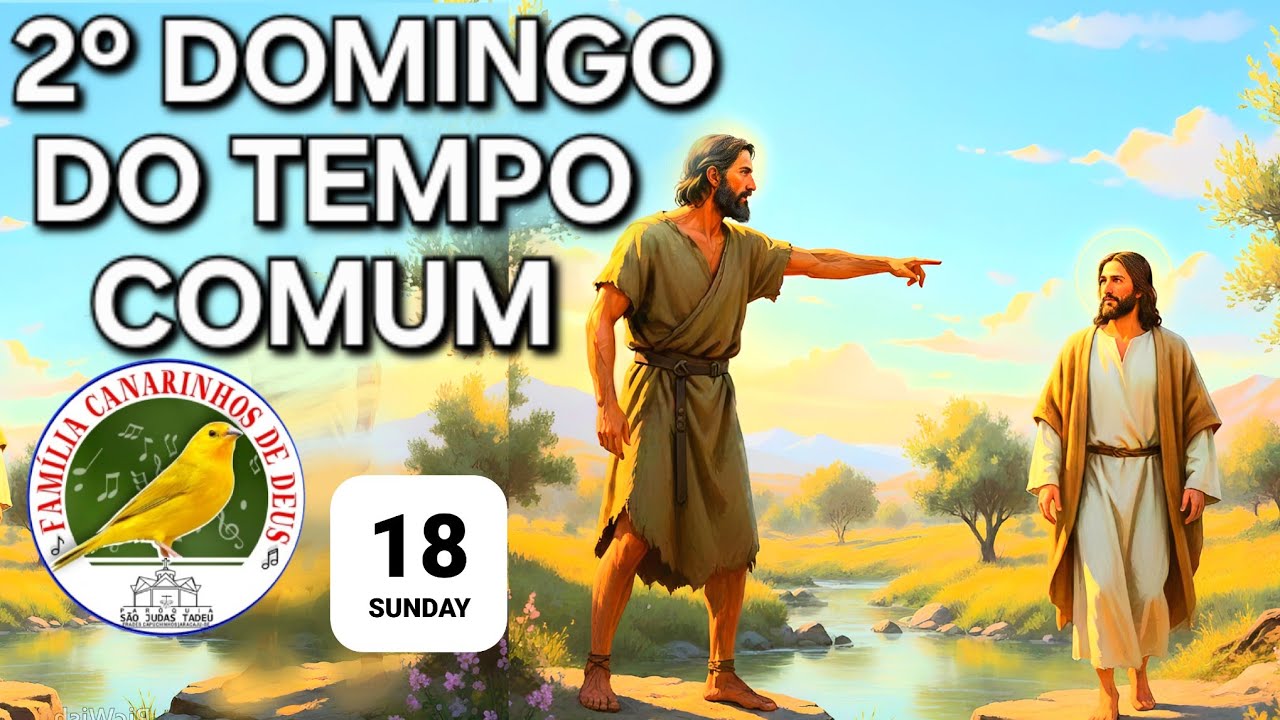 2º Domingo do Tempo Comum | Domingo / Evangelho (Jo 1,29-34)