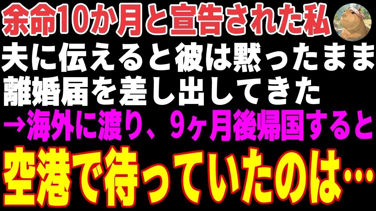 【感動する話】余命十か月と宣告された私。夫に伝えると彼は無言で離婚届を出してきた。信じられない思いでそれを受け入れ私は海外に飛び立った→日本に帰国した私を待っていたのは…【朗読・スカッと】