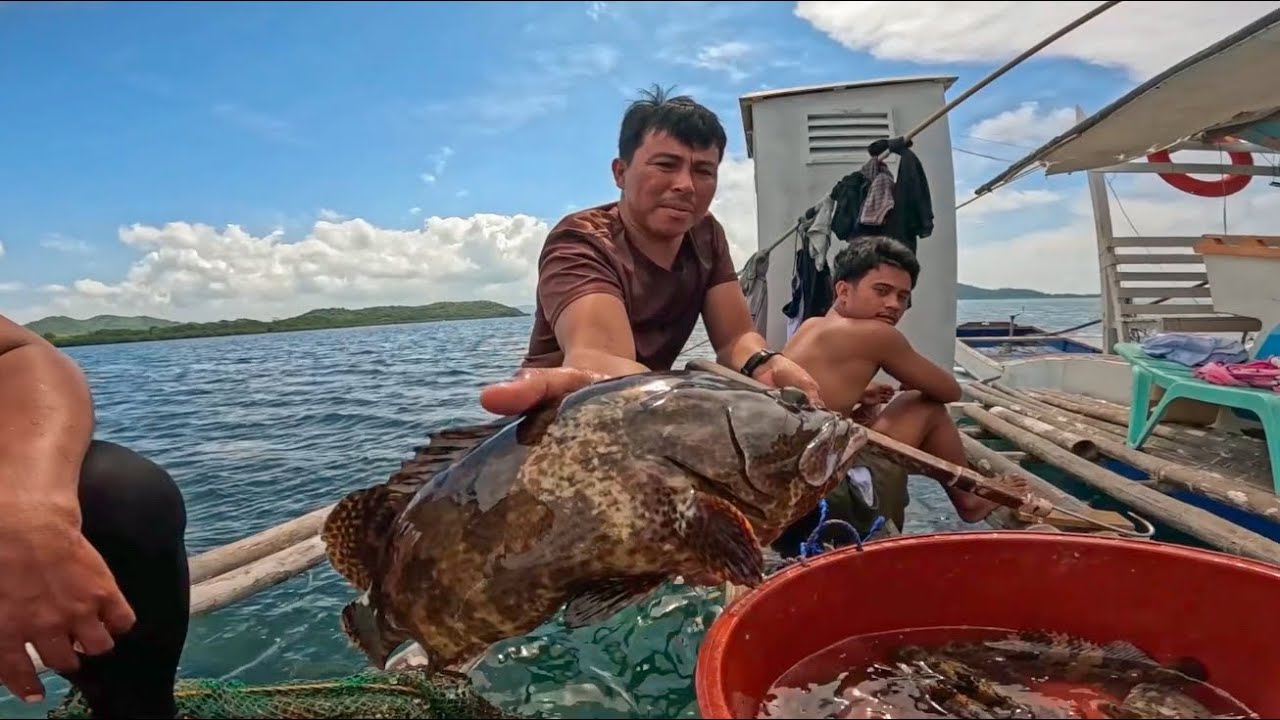 Marami Nga Pero Bakit Ganito Nangyare Sa Mga Grouper!