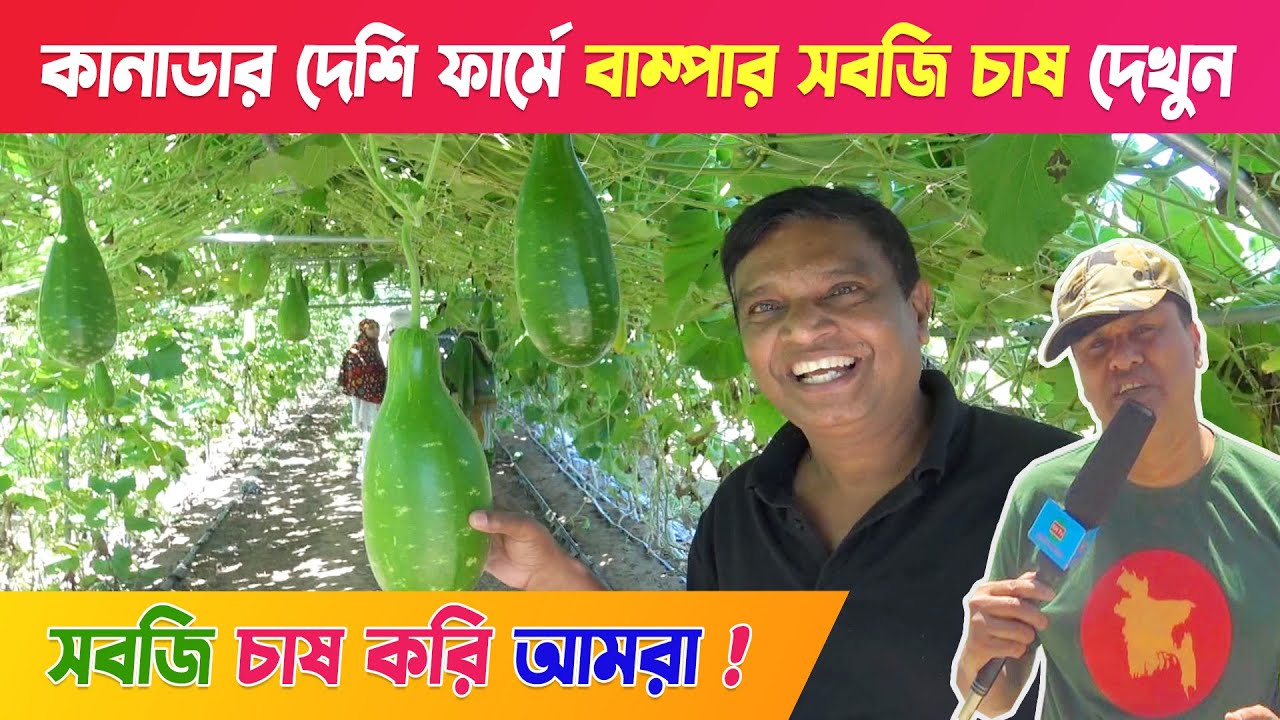 কানাডার 