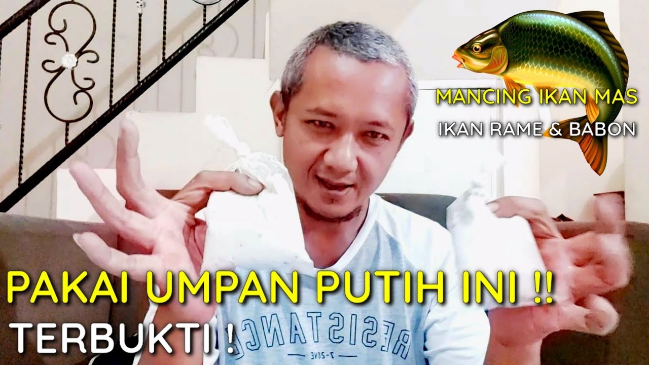 UMPAN PUTIH IKAN MAS UNTUK IKAN RAME DAN BESAR (BABON)|| UMPAN JITU IKAN MAS
