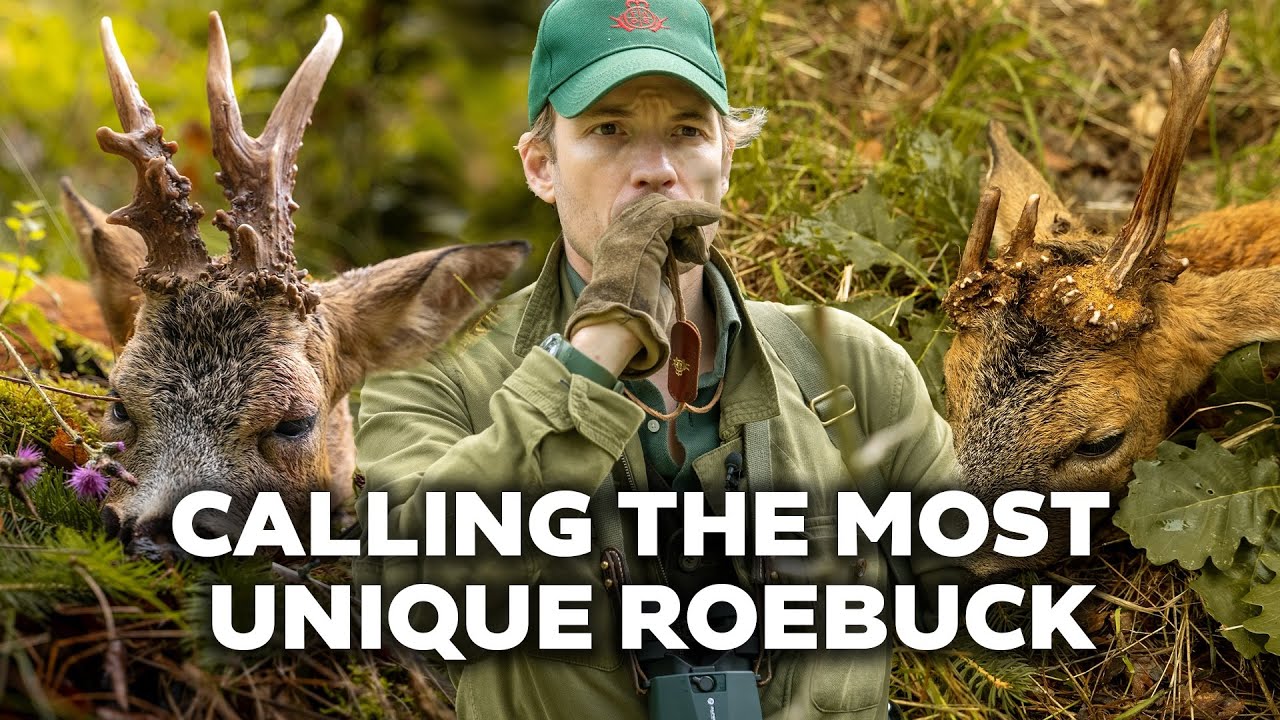 I Called the Most Unique Roebuck of 2025!