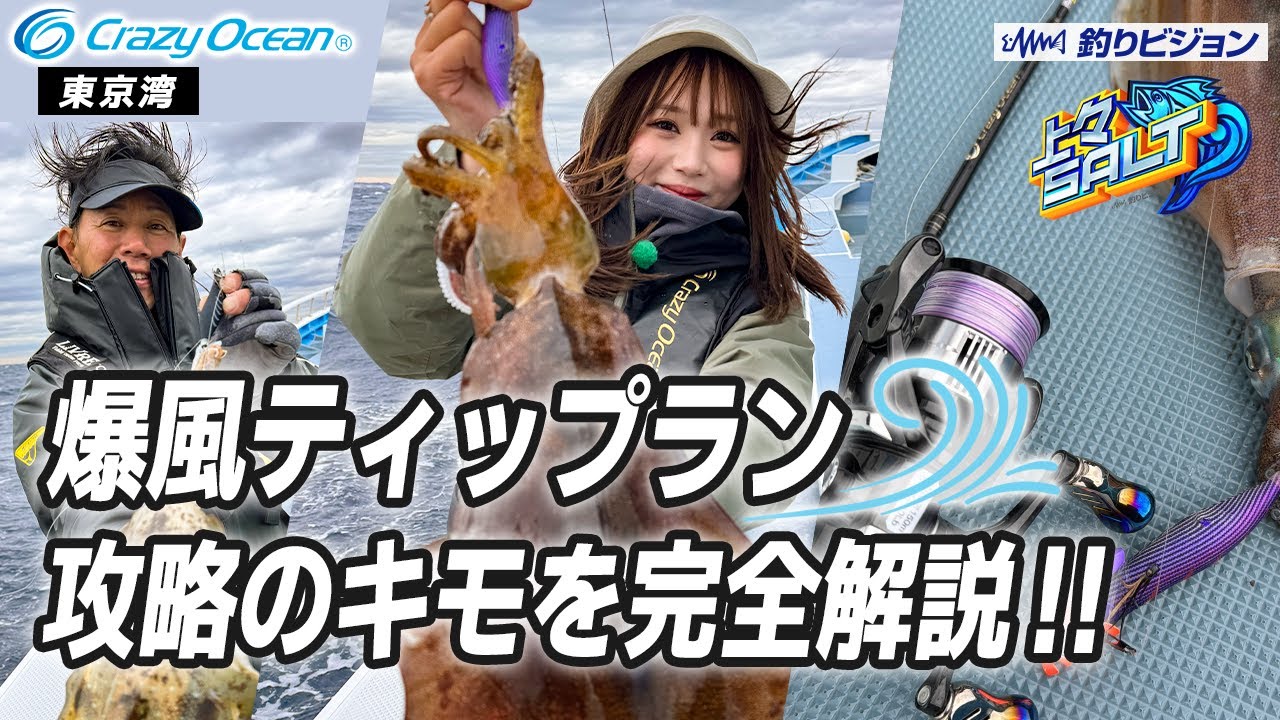 【ティップラン】爆風のティップラン 攻略のキモを徹底解説！