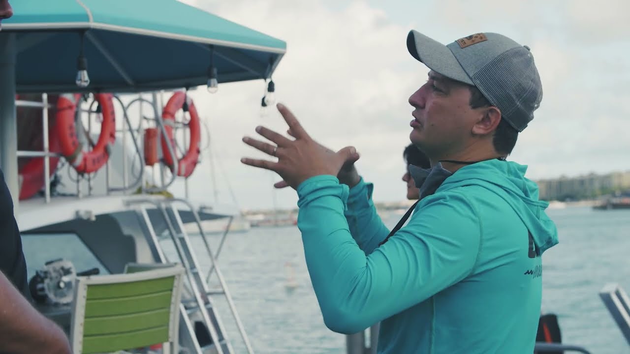 Expat Adventures on Aruba: Diving Into New Friendships in a Foreign Land