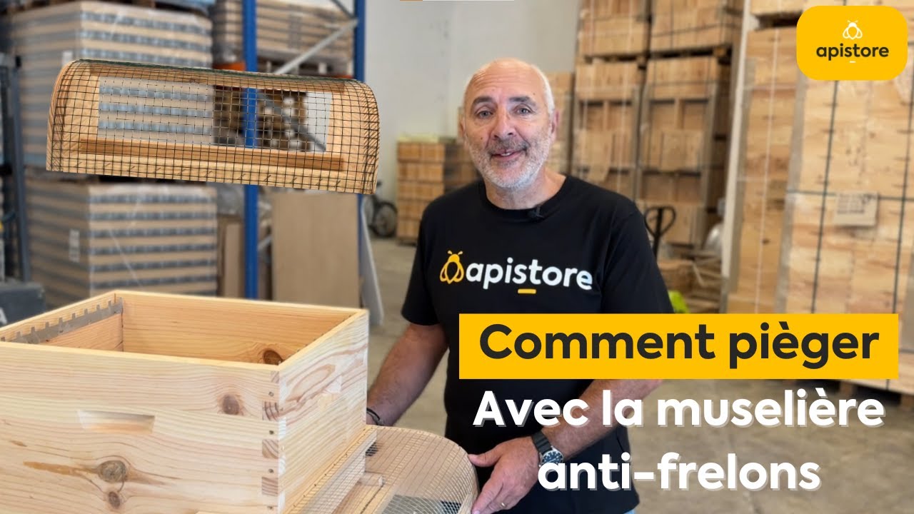 Muselière anti-frelons asiatiques : la protection contre le frelon