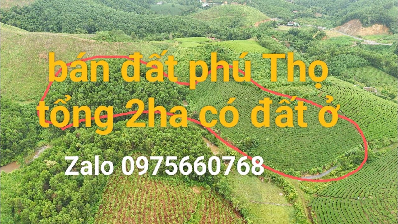 Cần bán gấp đất Phú Thọ tổng diện tích 2 ha có đất ở nhiều đất cây lâu năm