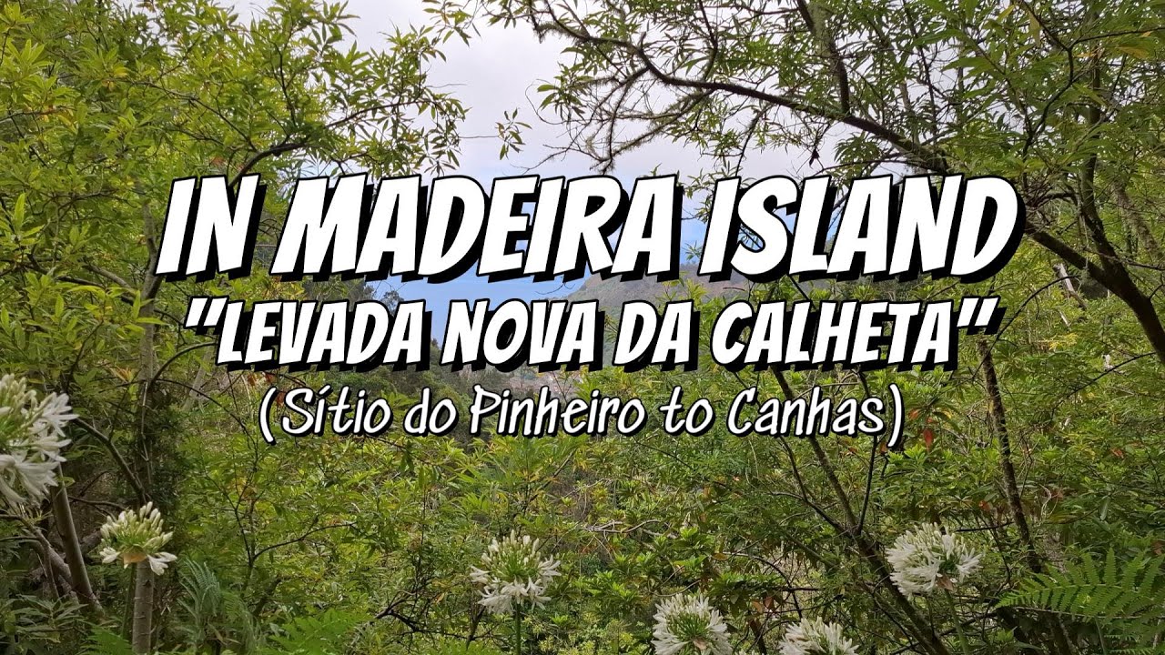 Levada Nova da Calheta, Sítio do Pinheiro to Canhas - IN MADEIRA ISLAND (29/06/2024)
