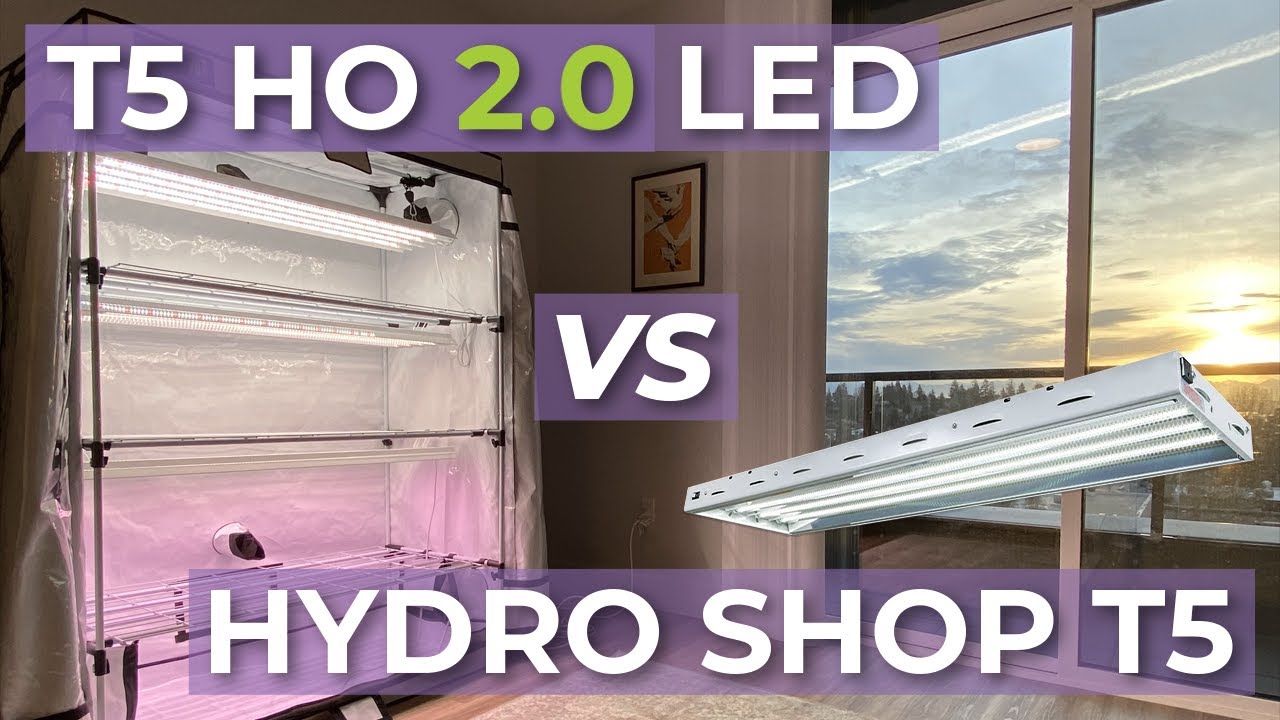 What is the Best T5 Grow Light of 2025? - Active Grow T5 LED Vs. Fluorescent Grow Light Fixtures