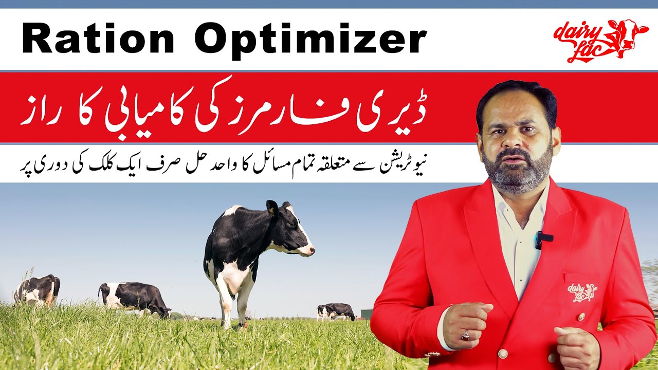 Ration Optimizer - The Secret of Dairy Farmers Success