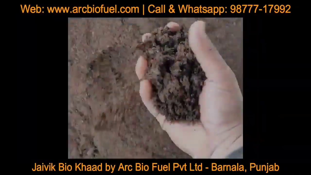 Dry Manure Available | Two Qualities | Enriched with Bacteria
