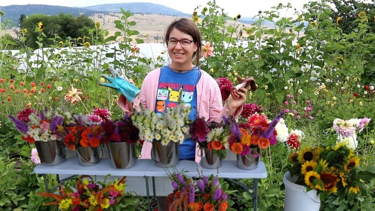 Flower Harvest Day Turns Into Rain Disaster