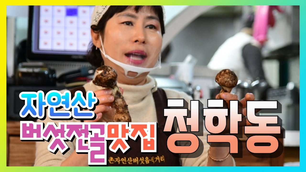 자연산 버섯전골 맛집 영동군 상촌면 '청학동', 불교공뉴스 TV