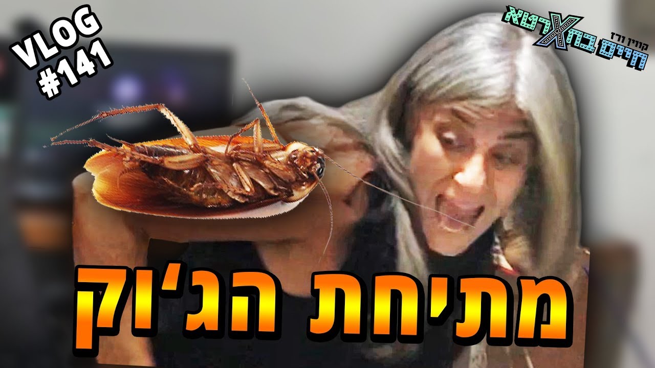 מתחנו את אמא של קווין!