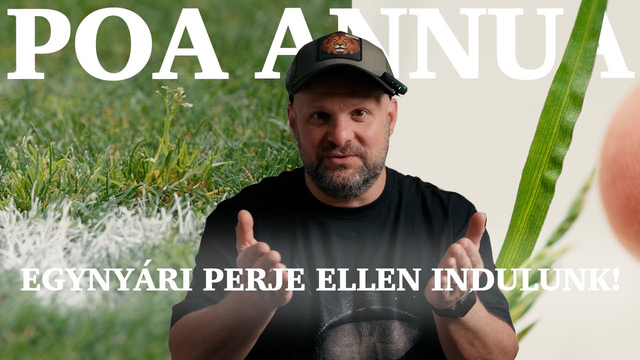 Apró gyom, nagy baj – Így szabadulj meg tőle végleg