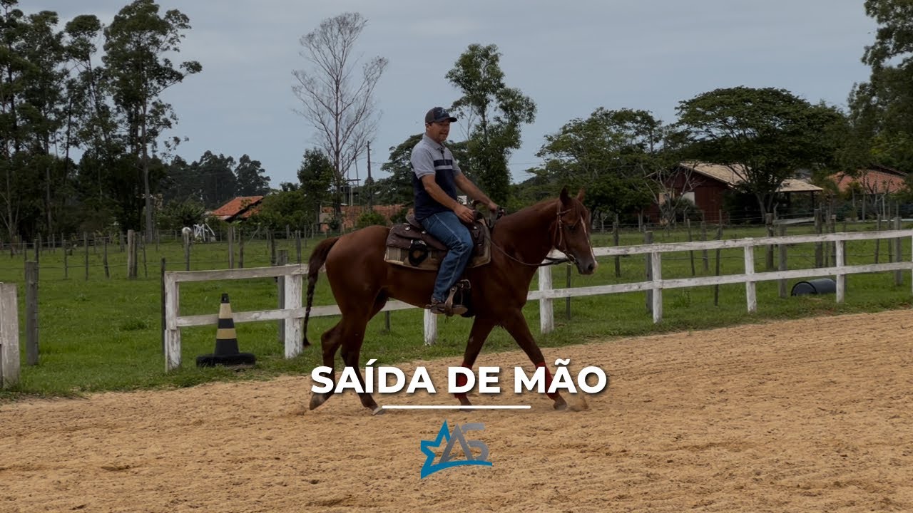 COMO INICIAR O GALOPE NA MÃO CERTA!!!