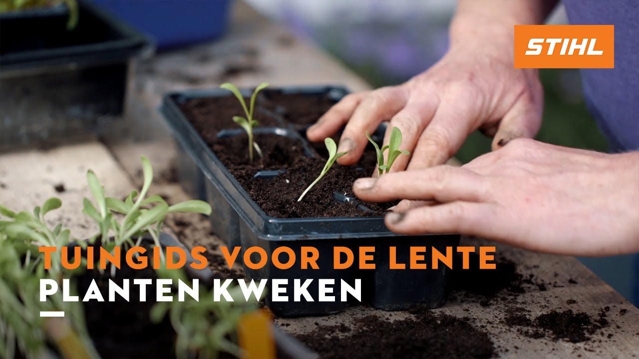 Planten kweken - Tuingids voor de lente