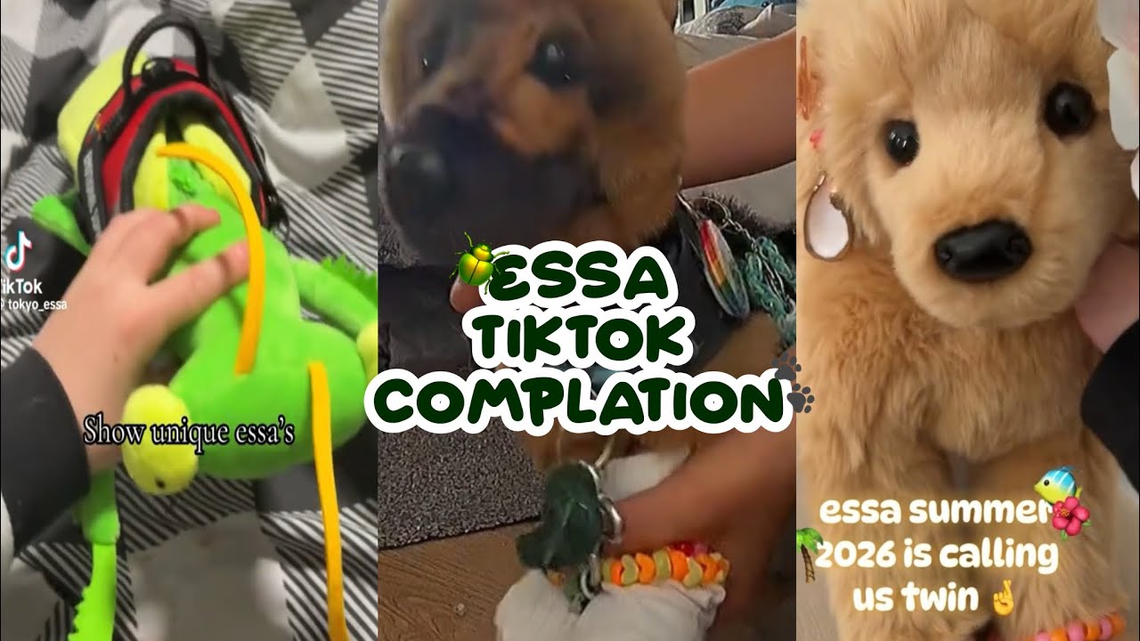 Essa TikTok complation  [🐾] None of these videos are mine - credits to original owners 