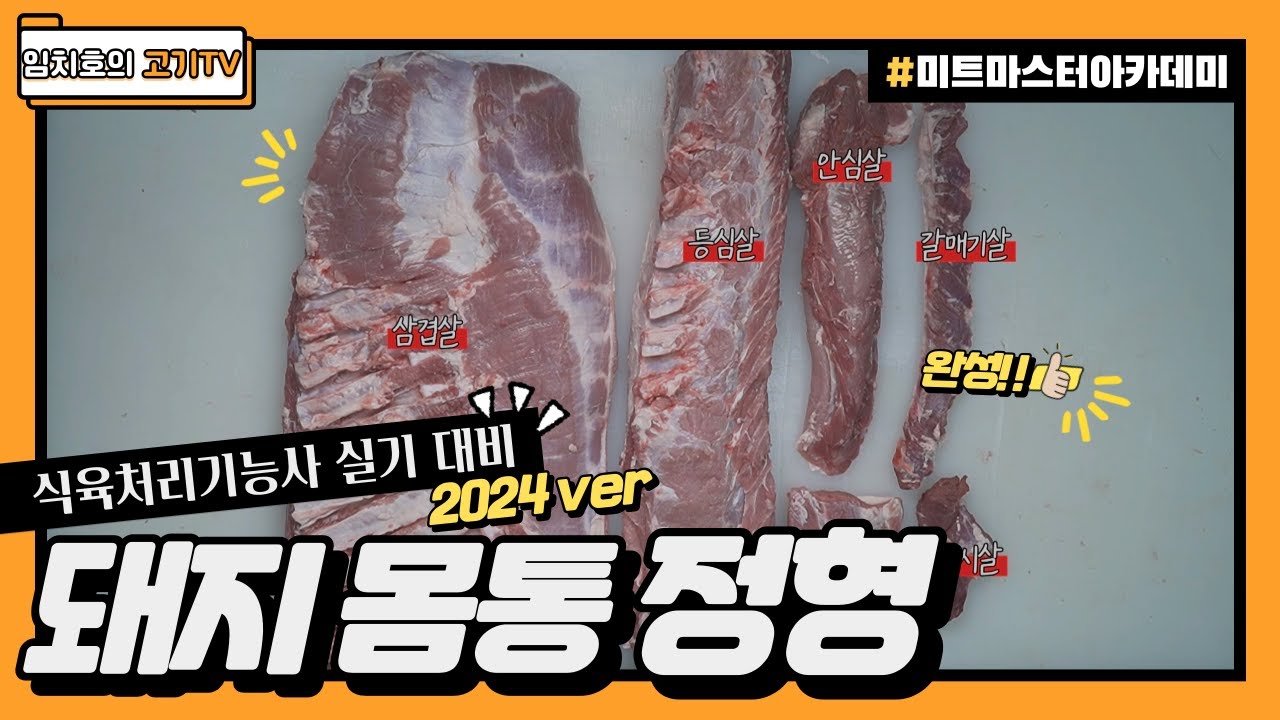 2024 식육처리기능사 실기대비 _ 돼지 몸통 정형 (우측) _ 4