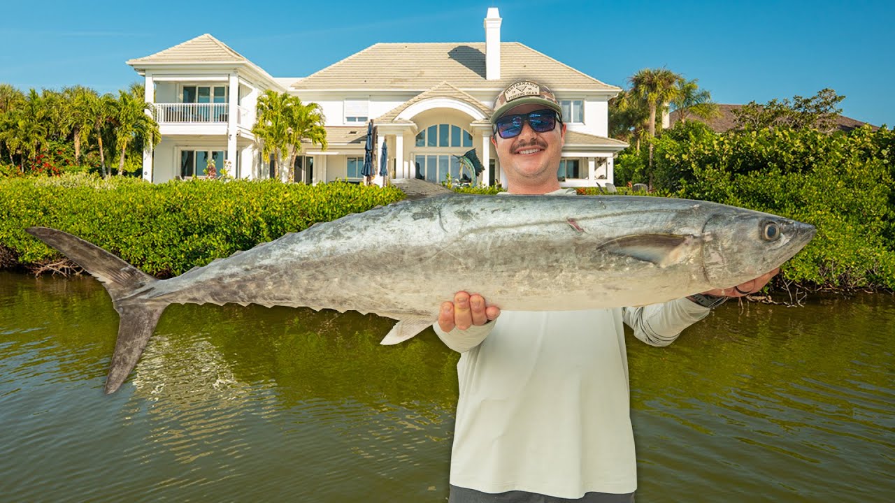 Fishing Backyards to Offshore on my 18' Skiff!! Sheepshead, Snook, Drum, Tripletail and Kingfish