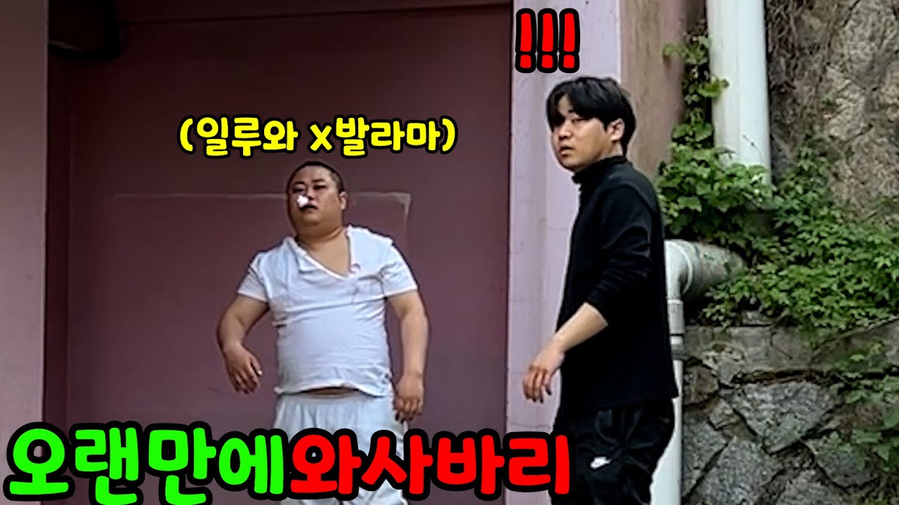 복싱? 주짓수? 싸울때 1번은 와사바리야
