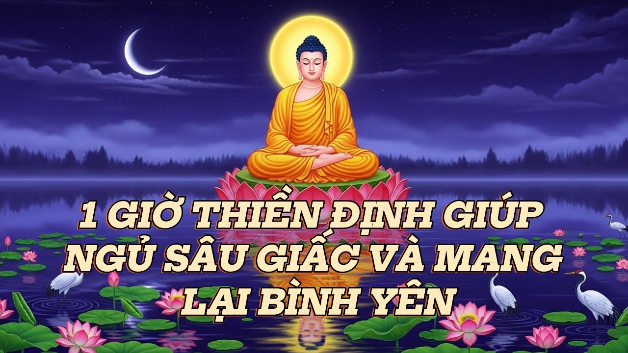 1 Giờ Thiền Định Có Hướng Dẫn Theo Phật Giáo Giúp Ngủ Sâu Giấc Và Tìm Kiếm Sự Bình An Nội Tâm