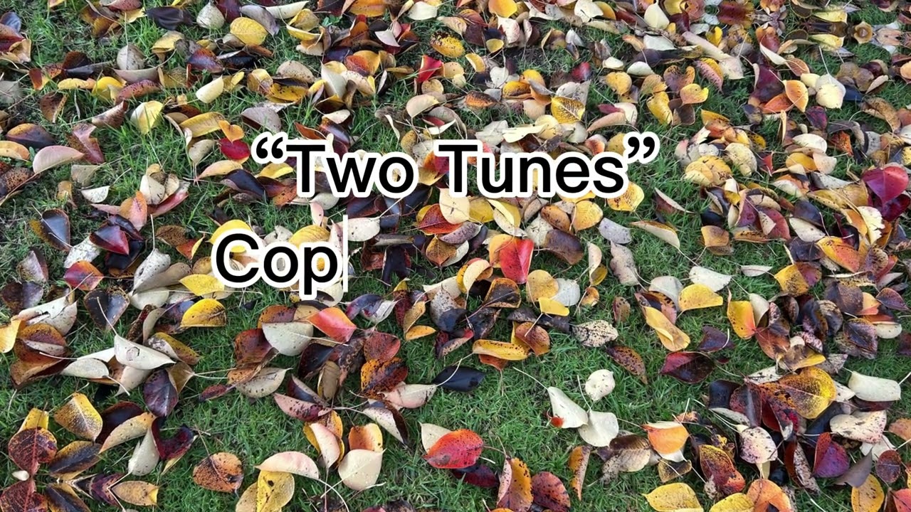 Two Tunes