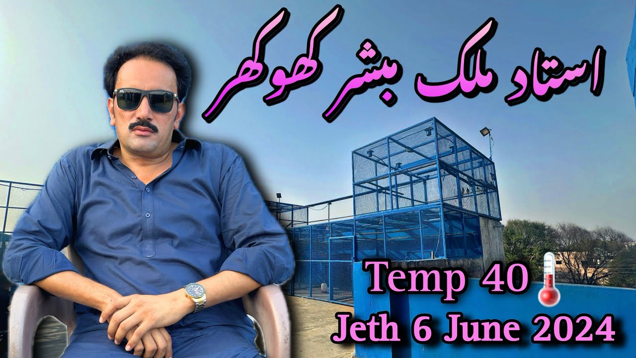 Ustad Malik Mubashar Khokhar Pigeons Landing in 40 🌡️ Temp 6th Bazi Comp Update