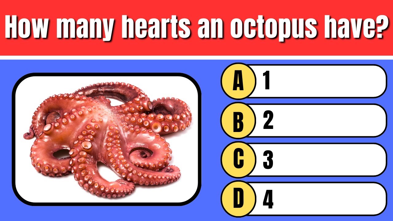 Can you get an average score 30/50 on this GK Quiz? 🧠 The Ultimate General Knowledge Quiz! 📚